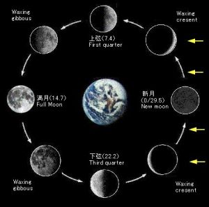 新月と満月について_www.starmoon.jp